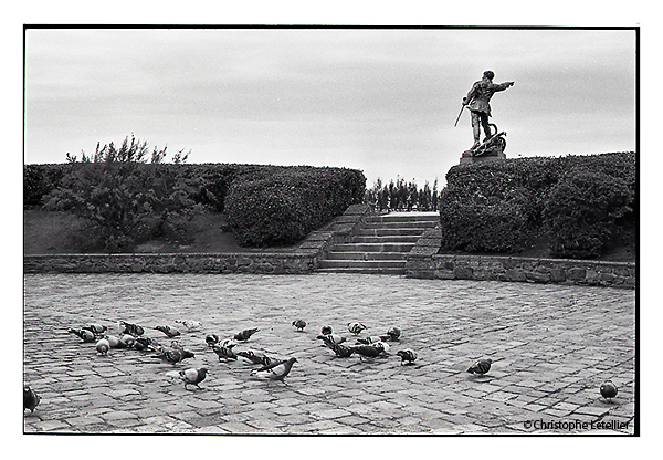 Pigeons picorant quelques graines laissées par les touristes visitant les remparts de Saint-Malo en Bretagne. © 2011 Christophe LETELLIER, tous droits réservés. Reproduction interdite sans autorisation préalable de l’auteur. Pour revenir à la galerie, cliquez sur la photo.